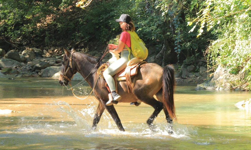 Cowboy for a Day gallery photo