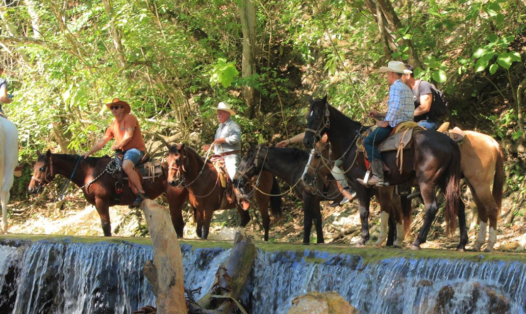 Cowboy for a Day gallery photo